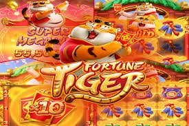 shweohh VIP Point ကစားပြီး အဆင့်တိုးနည်း Football MNL Live Casino
